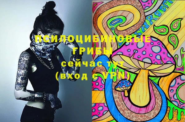 гидропоника Михайловск
